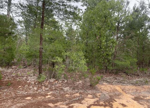 Property at 0 Gray St, FL 32148