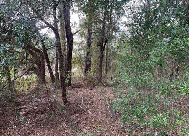 Property at 0 SW 30th Pl, FL 34481