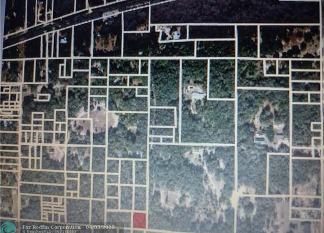 Property at 000 Rose Ln, FL 32640