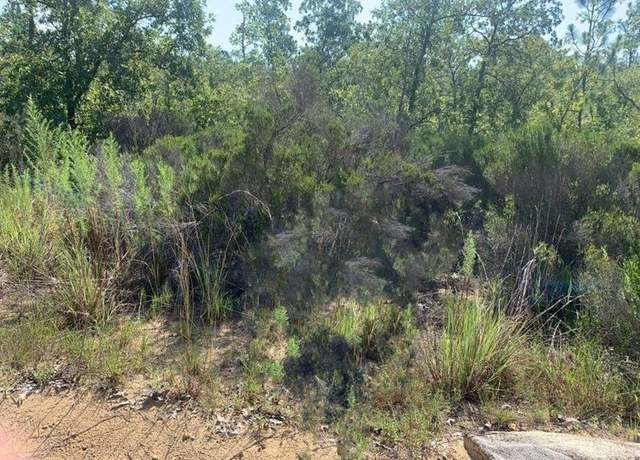 Property at 0 Manatee St, FL 32148