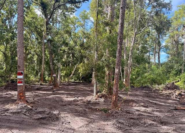 Property at 0 Anno St, FL 33625