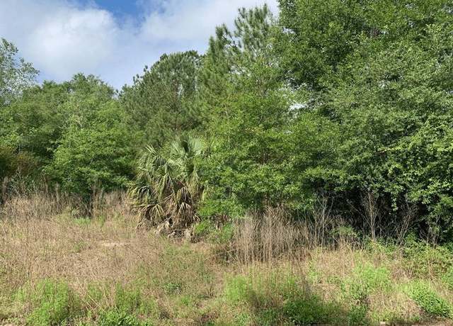 Property at 0 Douglas Dr, FL 32148