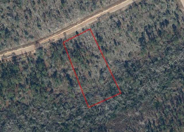 Property at 0 Nezperce Dr, FL 32420