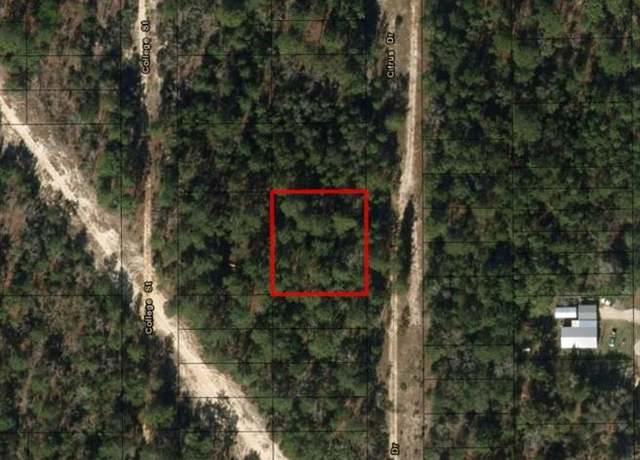 Property at 0 Citrus St, FL 32148
