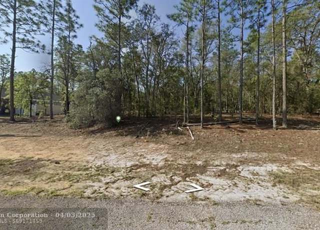 Property at 602 E Nemo Dr, FL 34434