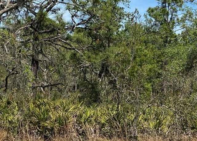 Property at Lot 12 Blk 234 Palm Ave, FL 33855