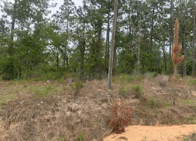 Property at 0 Akron St, FL 32148