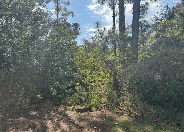 Property at 229 Caswell Ln, FL 33852
