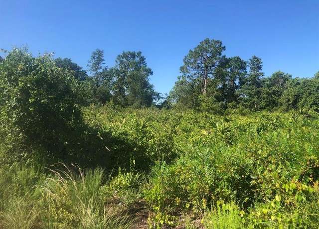Property at 153 Disney Blvd, FL 33825