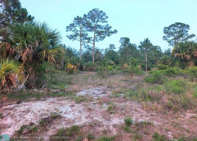 Property at 845 S Live Oak St, FL 33440
