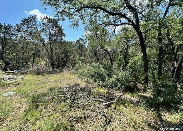 Property at 1934 Lake Park Dr, Spring Branch, TX 78070