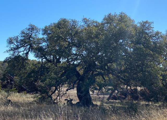 Property at 970 Maximino Rdg, Bulverde, TX 78163