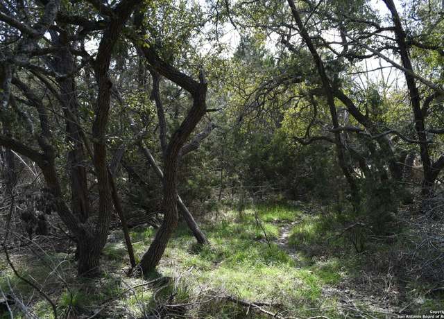 Property at 1738 Cave Dr, Spring Branch, TX 78070