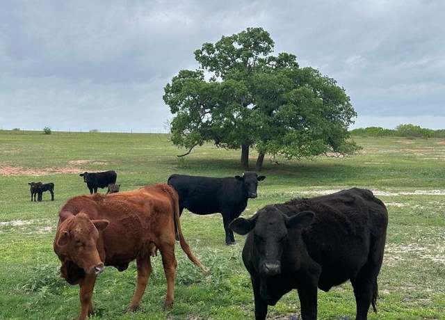 Property at TBD (TRACT 2) W Gates Vly, Poteet, TX 78065