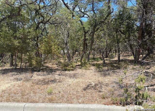 Property at 79 Percival, San Antonio, TX 78230-4448
