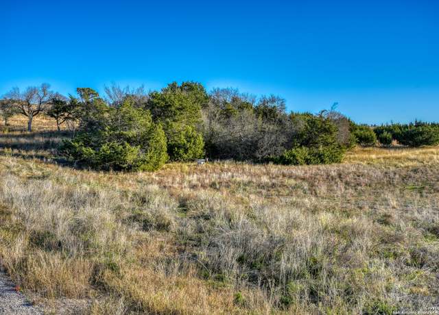 Property at 137 Falling Oak Dr, Blanco, TX 78606