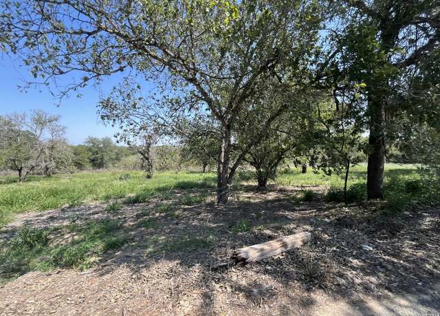 Property at 497 County Road 124, Floresville, TX 78114-6049