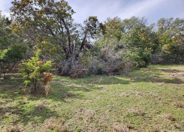 Property at 1731 Rolling River Vw, Spring Branch, TX 78070