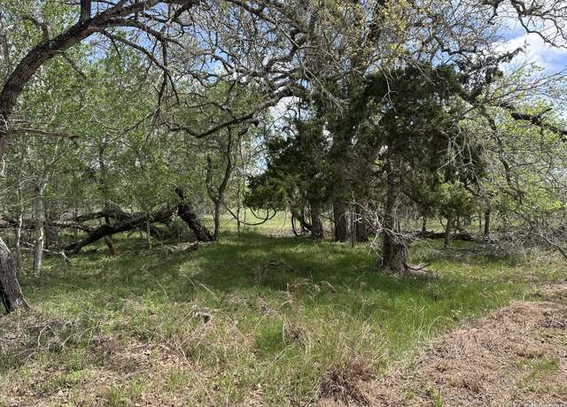 Property at 552 County Road 423, Stockdale, TX 78160