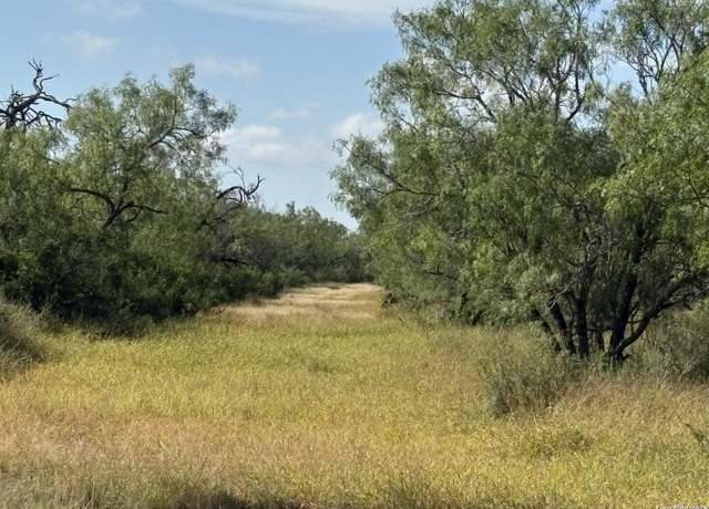 Property at 385 County Road 334, Charlotte, TX 78011