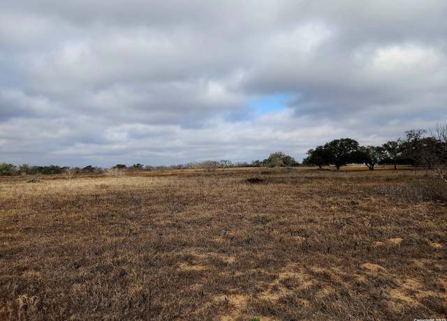 Property at 217 pr Olga, Poteet, TX 78065