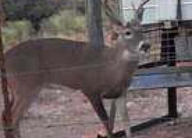Property at TRACT 5 West Rnch, Eden, TX 76837