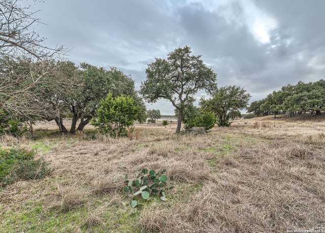 Property at 161 Mystic Shrs, Spring Branch, TX 78070