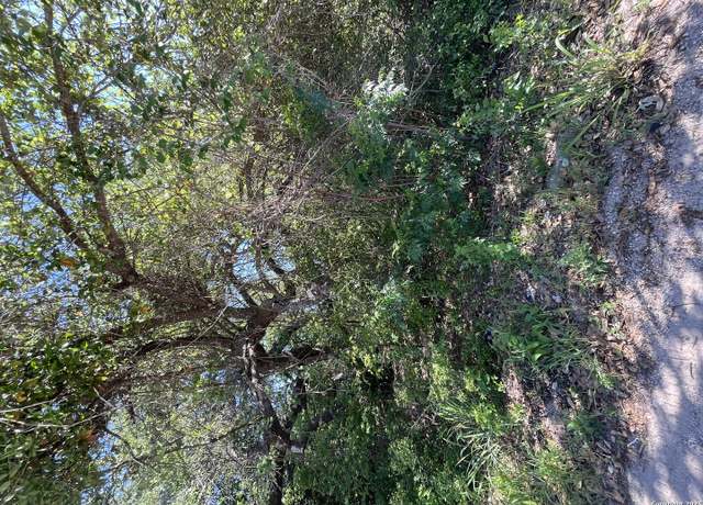Property at TBD Moss Rose Dr, Von Ormy, TX 78073