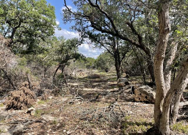 Property at 330 Rayner Rnch, Spring Branch, TX 78070
