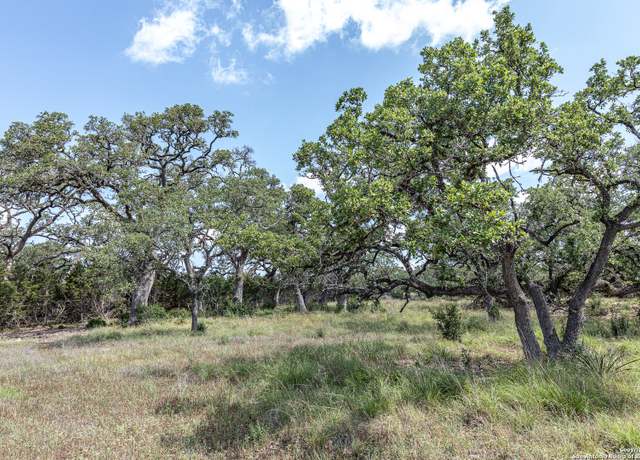 Property at 664 Annabelle Ave, Bulverde, TX 78163