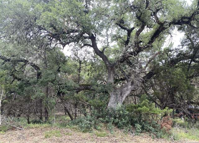 Property at 303 Windy Hl, Spring Branch, TX 78070