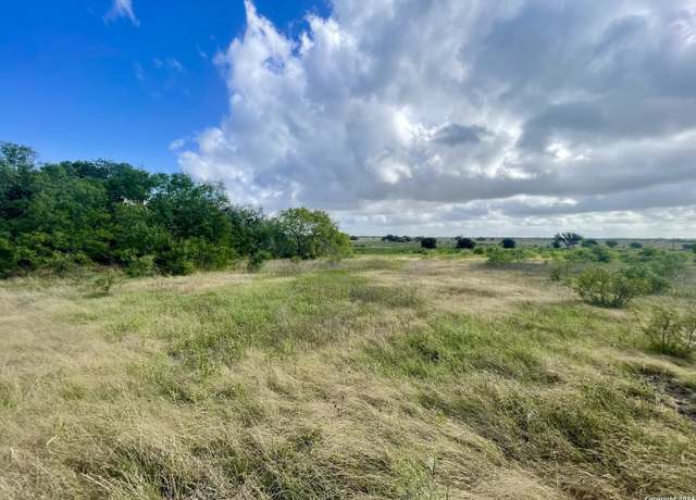 Property at TRACT 2 920 County Road 201, Falls City, TX 78113