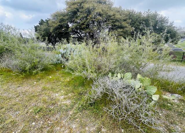Property at 460 Peace Ave, New Braunfels, TX 78130