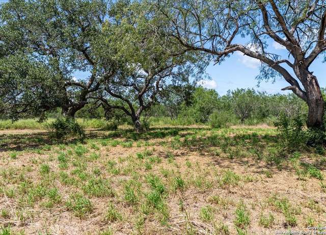 Property at 00 Us-181 S, Skidmore, TX 78389