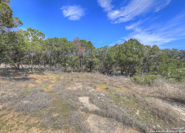 Property at 233 Paradise Hls, New Braunfels, TX 78132