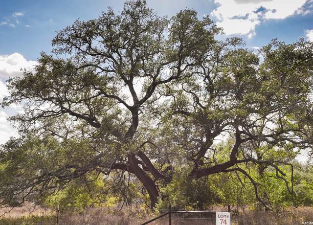 Property at 327 PR Sunset Vista Dr Lot 74, Somerset, TX 78069