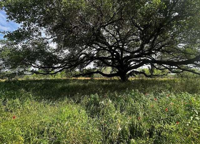 Property at 521 County Road 7713 #2, Devine, TX 78016