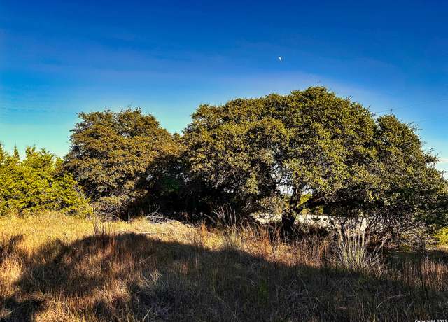 Property at 628 Indian Trl, Spring Branch, TX 78070