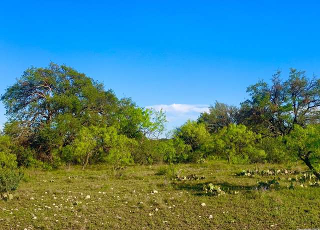 Property at 22.78 ACS TBD Kotara Ln, Floresville, TX 78114