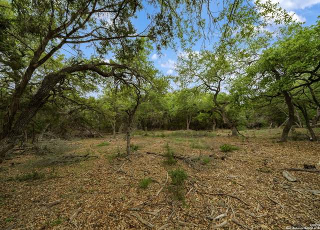 Property at 25139 Callaway, San Antonio, TX 78260