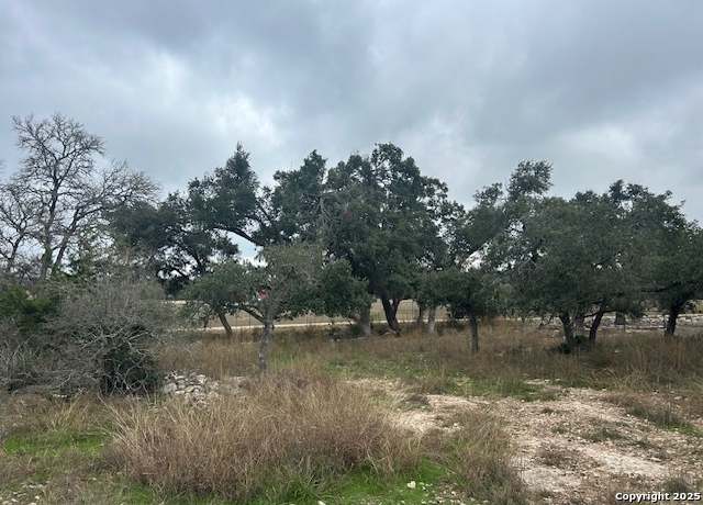 Property at 432 George Dolson, Blanco, TX 78606