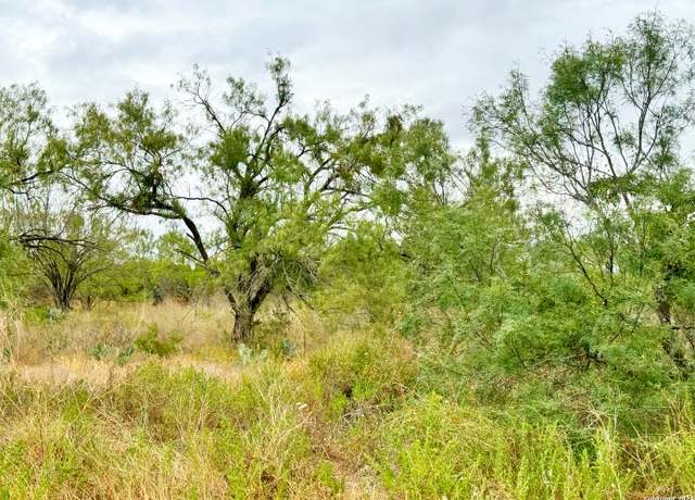 Property at 106 CR 2638, Devine, TX 78016