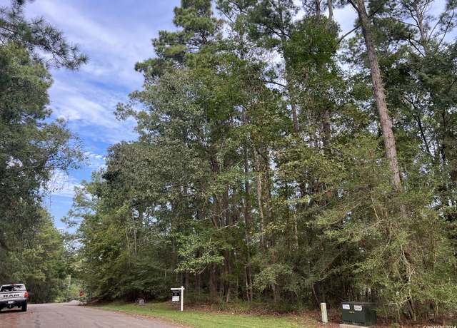 Property at 91 Twinstone Cir, TX 77331