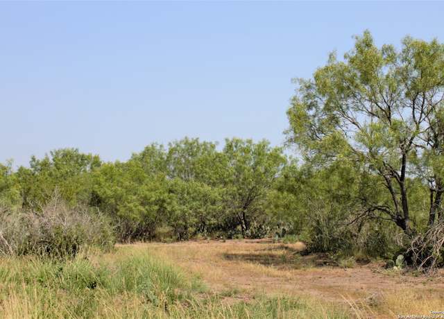Property at 2424 CR 310 Lot 1, Jourdanton, TX 78026