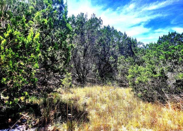 Property at 1680 Stallion Springs Dr, Fischer, TX 78623