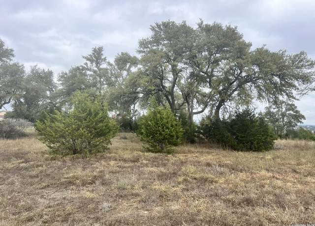Property at 209 Starling Pass, Spring Branch, TX 78070