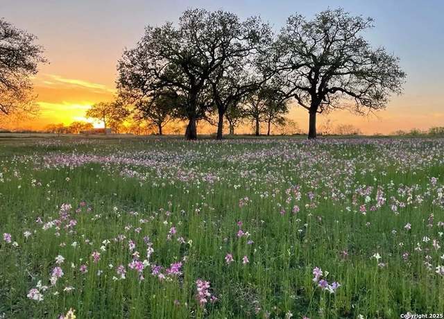 Property at 460 Woelke Rd, Seguin, TX 78155-9347