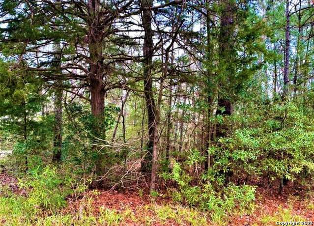 Property at 00 Sir Robert Burns, TX 75979