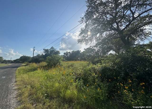 Property at 22711 Black Cherry, Elmendorf, TX 78112