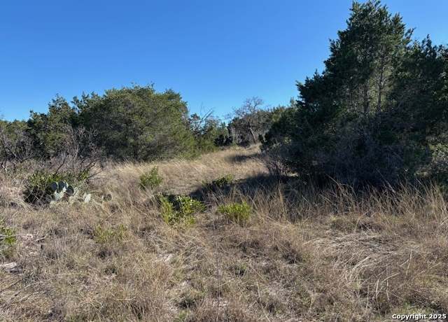 Property at 310 N Ringtail Rd, Camp Wood, TX 78833